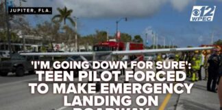 Teen Pilot: “I'm Going Down for Sure” Before Emergency