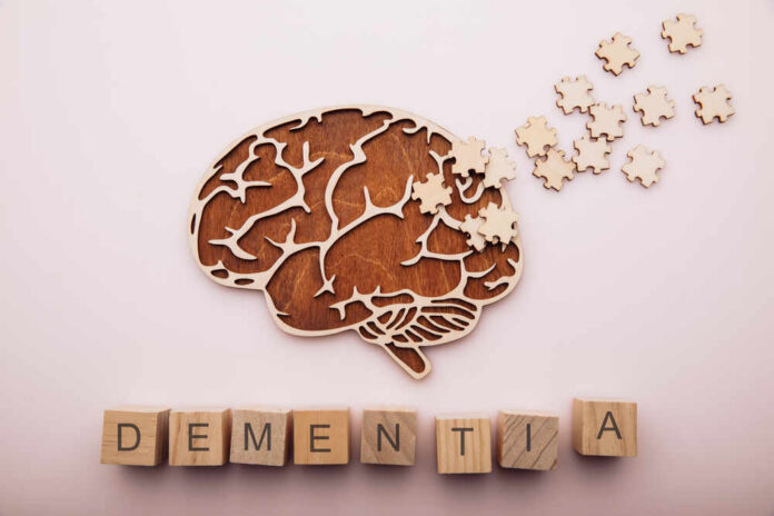 Wooden brain illustration with puzzle pieces and blocks spelling 'DEMENTIA'