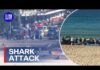 Lifesaver’s Daring Drag Through Red Surf Woman fighting for life after Sydney shark attack | 9 News Australia