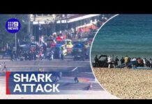 Lifesaver’s Daring Drag Through Red Surf Woman fighting for life after Sydney shark attack | 9 News Australia