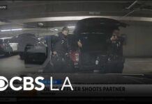 Pasadena police horseplay ends with accidental department shooting