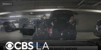 Pasadena police horseplay ends with accidental department shooting