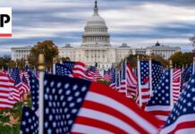 AP/NORC poll indicates Americans' views of the US flag are divided