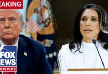BREAKING: Trump selects Gabbard's temp REPLACEMENT following resignation
