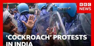 India's 'cockroach' protest continues after police crackdown | BBC News