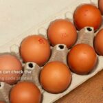 Salmonella Outbreak Triggers Massive Egg Recall 1.6 million eggs recalled after potential salmonella contamination