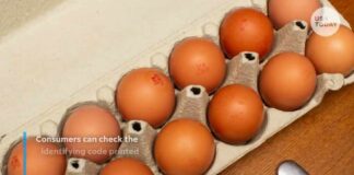 1.6 million eggs recalled after potential salmonella contamination