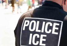 After Fatal Encounters, ICE Changes Course Close-up of a police officer's back with a 'POLICE ICE' badge