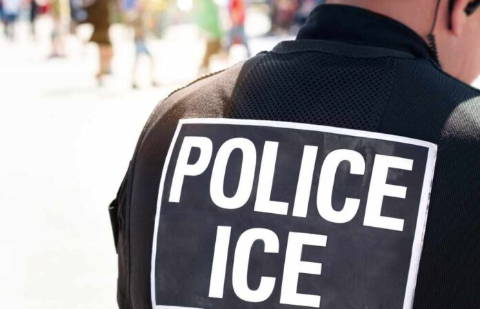 Close-up of a police officer's back with a 'POLICE ICE' badge