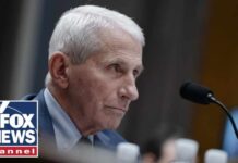 Congress Takes New Aim At Anthony Fauci Fauci probe ESCALATES as Senate sets contempt vote