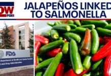 A Spicy Staple Just Sparked a Nationwide Scare Salmonella outbreak linked to jalapeños expands