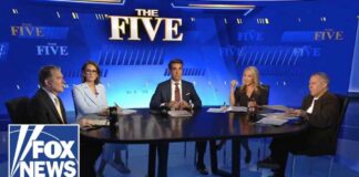 'The Five': Fauci's private diary entries EXPOSED ahead of Senate testimony