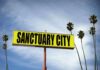Yellow roadside sign reading Sanctuary City with palm trees