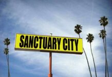 Yellow roadside sign reading Sanctuary City with palm trees