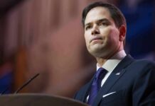 Oval Office Couch Sparks Rubio Uproar man in suit speaking at podium