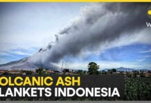 Thousands Stranded As Ash Chokes Skies Indonesia Volcanic Eruption Strands Flyers, Residents Forced to Mask Up | WION News