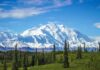 Warming Primed A Himalayan Time Bomb snow-capped mountain above evergreen forest