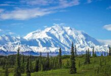 Warming Primed A Himalayan Time Bomb snow-capped mountain above evergreen forest
