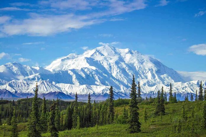 snow-capped mountain above evergreen forest