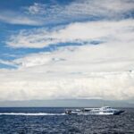 Countdown In Heavy Seas — 243 Missing White passenger boat cruising on open sea under cloudy sky