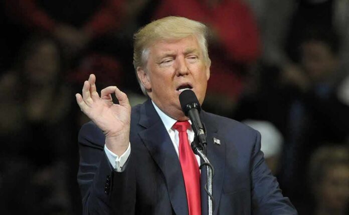 Donald Trump speaking at a rally with microphone and raised hand gesture