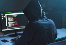 Taxpayer Millions Vanish – Who’s Behind It? Person in hoodie at dual monitors with code