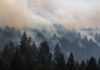 Smoke drifting over a dense conifer forest