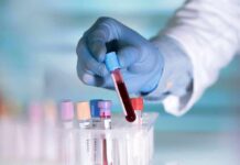 Gloved hand holding a blood sample tube